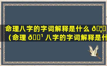 命理八字的字词解释是什么 🦅 （命理 🌹 八字的字词解释是什么意思）